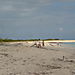 SEUL SUR LA PLAGE D ANEGADA