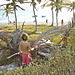 CONSTRUCTION ILLEGALE SUR LA BARADALE